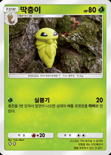 딱충이